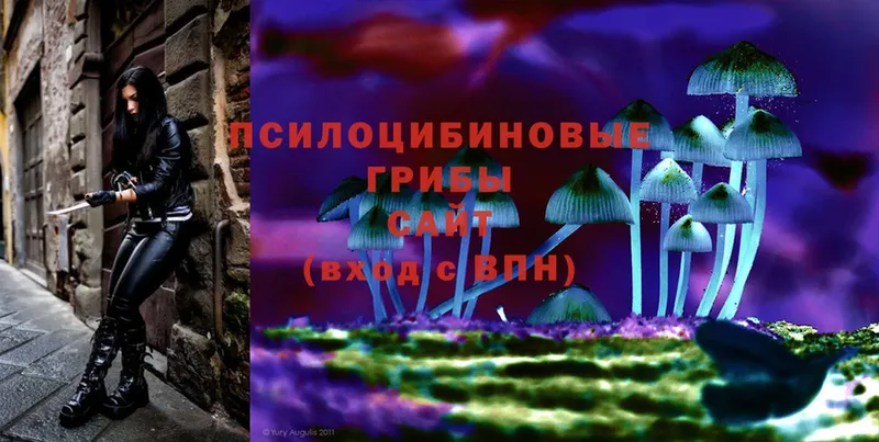 кракен ONION  купить  цена  Котельники  это клад  Псилоцибиновые грибы Psilocybe 